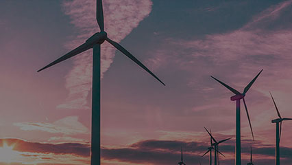 PGP in Renewable Energy